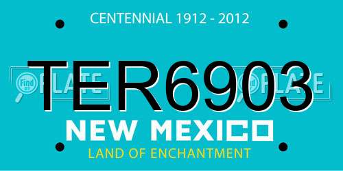 TER6903 New Mexico License Plate
