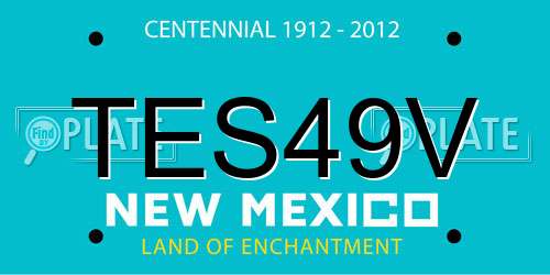 TES49V New Mexico License Plate