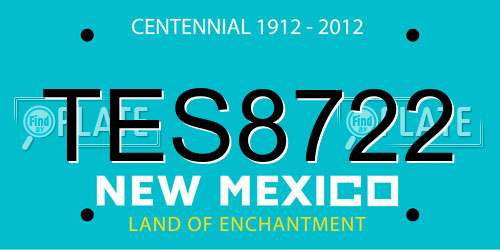 TES8722 New Mexico License Plate