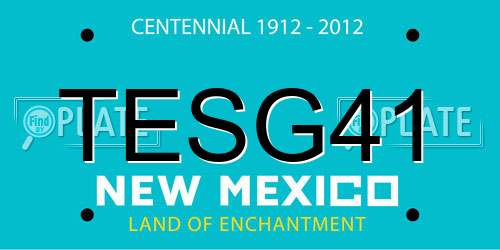 TESG41 New Mexico License Plate