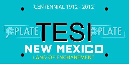 TESI New Mexico License Plate
