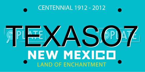 TEXASO7 New Mexico License Plate