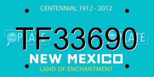 TF33690 New Mexico License Plate