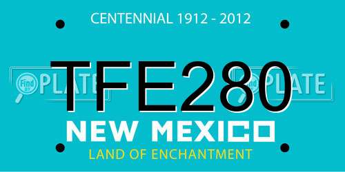 TFE280 New Mexico License Plate