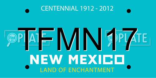 TFMN17 New Mexico License Plate