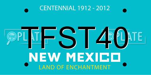 TFST40 New Mexico License Plate