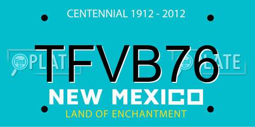 TFVB76 New Mexico License Plate