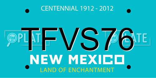 TFVS76 New Mexico License Plate