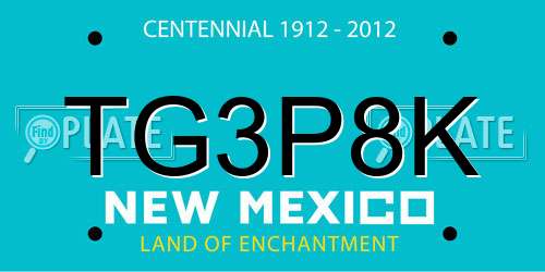 TG3P8K New Mexico License Plate
