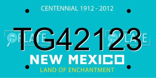 TG42123 New Mexico License Plate