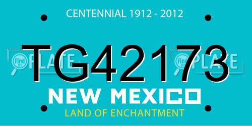 TG42173 New Mexico License Plate