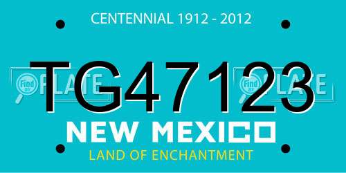 TG47123 New Mexico License Plate