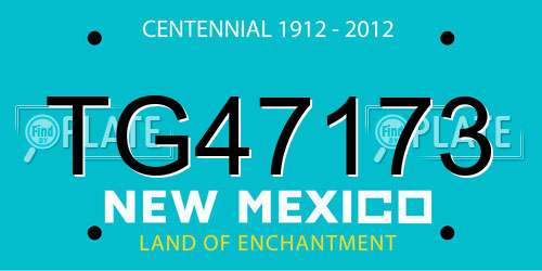 TG47173 New Mexico License Plate
