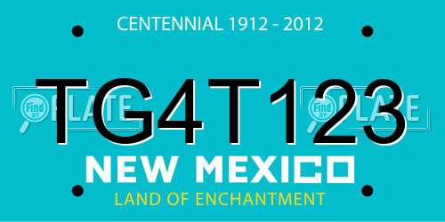 TG4T123 New Mexico License Plate