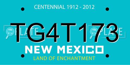 TG4T173 New Mexico License Plate
