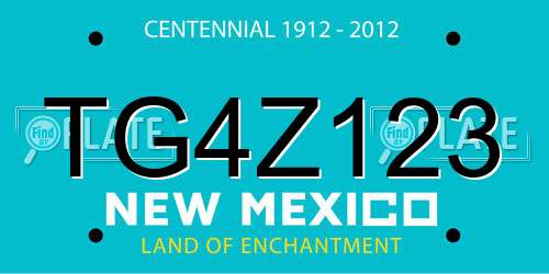 TG4Z123 New Mexico License Plate