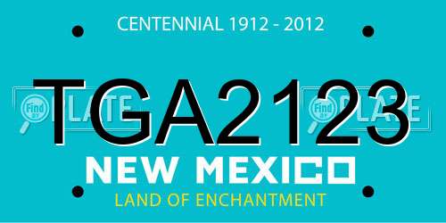 TGA2123 New Mexico License Plate