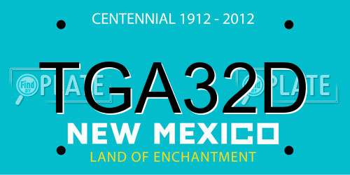 TGA32D New Mexico License Plate