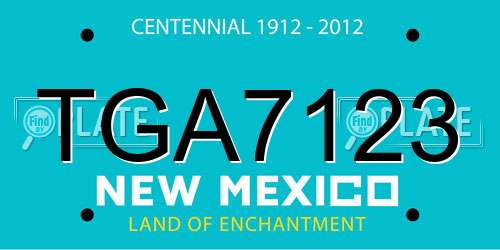 TGA7123 New Mexico License Plate