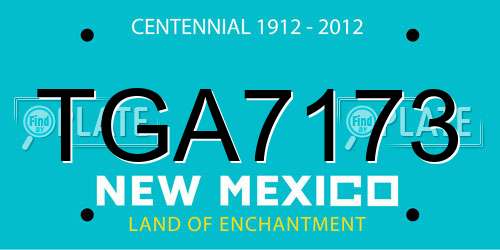 TGA7173 New Mexico License Plate