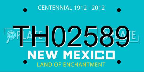 TH02589 New Mexico License Plate