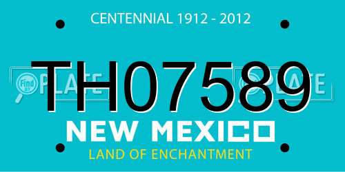 TH07589 New Mexico License Plate