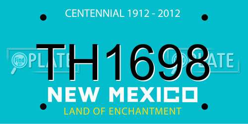 TH1698 New Mexico License Plate