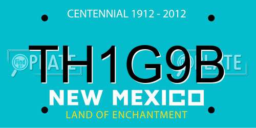 TH1G9B New Mexico License Plate