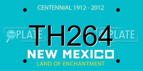 TH264 New Mexico License Plate