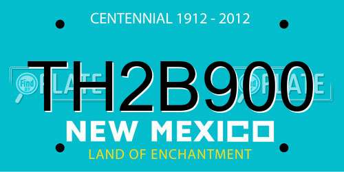 TH2B900 New Mexico License Plate