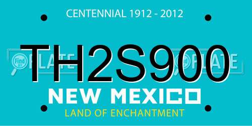 TH2S900 New Mexico License Plate