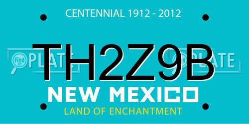 TH2Z9B New Mexico License Plate