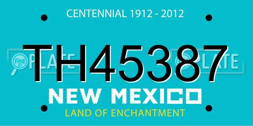 TH45387 New Mexico License Plate