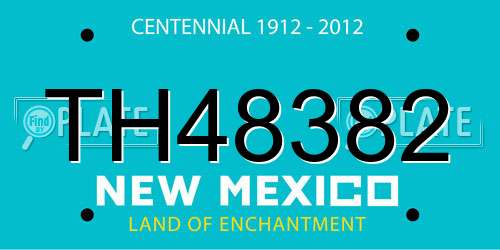 TH48382 New Mexico License Plate