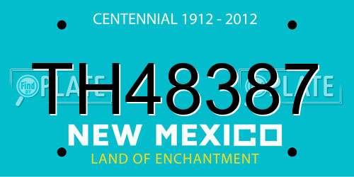 TH48387 New Mexico License Plate