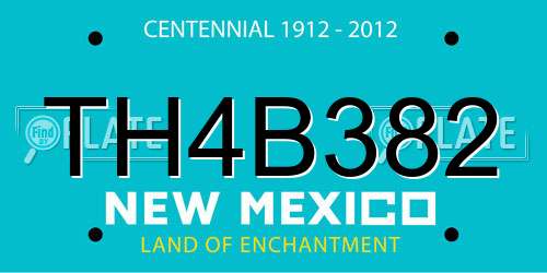 TH4B382 New Mexico License Plate