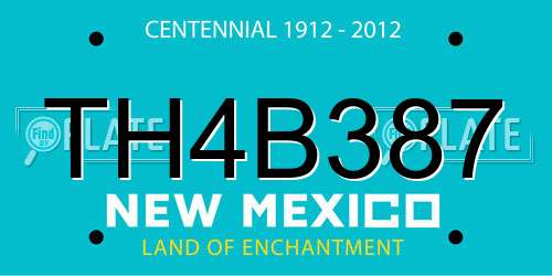 TH4B387 New Mexico License Plate