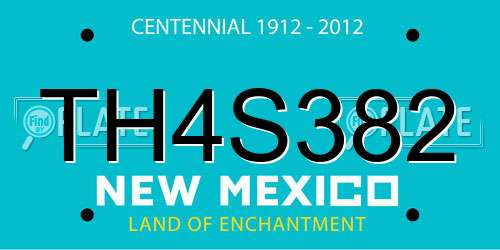 TH4S382 New Mexico License Plate