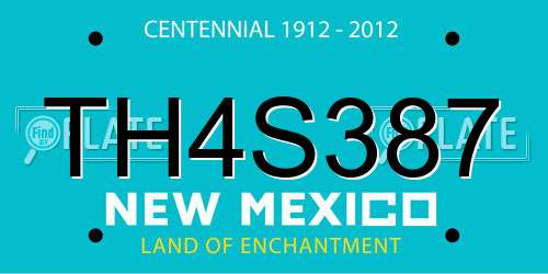 TH4S387 New Mexico License Plate