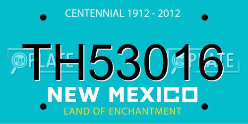 TH53016 New Mexico License Plate