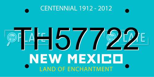 TH57722 New Mexico License Plate