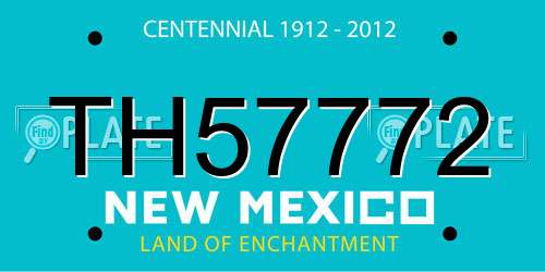 TH57772 New Mexico License Plate