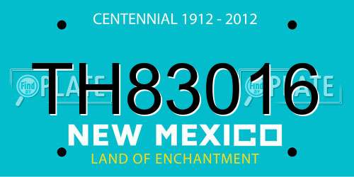 TH83016 New Mexico License Plate
