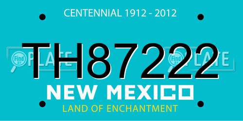 TH87222 New Mexico License Plate