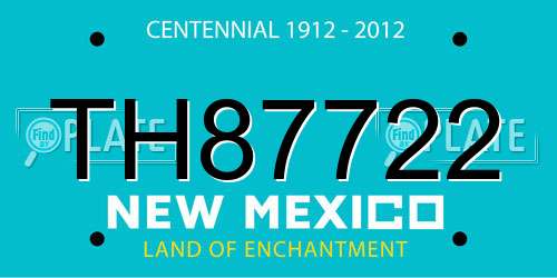 TH87722 New Mexico License Plate