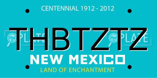 THBTZTZ New Mexico License Plate