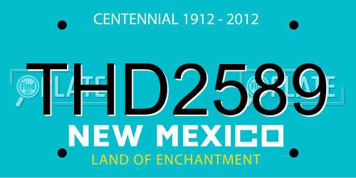 THD2589 New Mexico License Plate