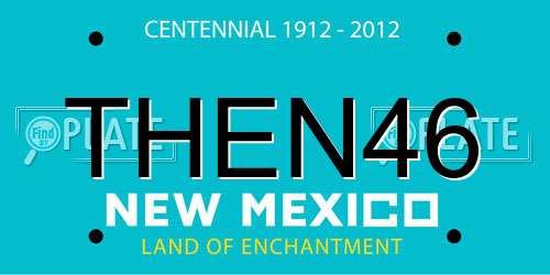 THEN46 New Mexico License Plate