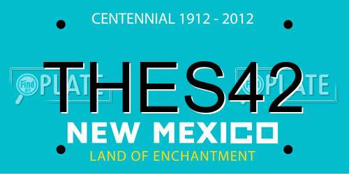 THES42 New Mexico License Plate