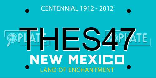 THES47 New Mexico License Plate